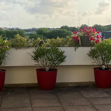 Appartement La Rose Des Vents *